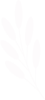 slider-shape1